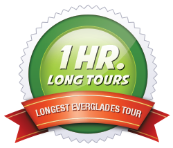 Everglades VIP Tour Website | Everglades Holiday Park